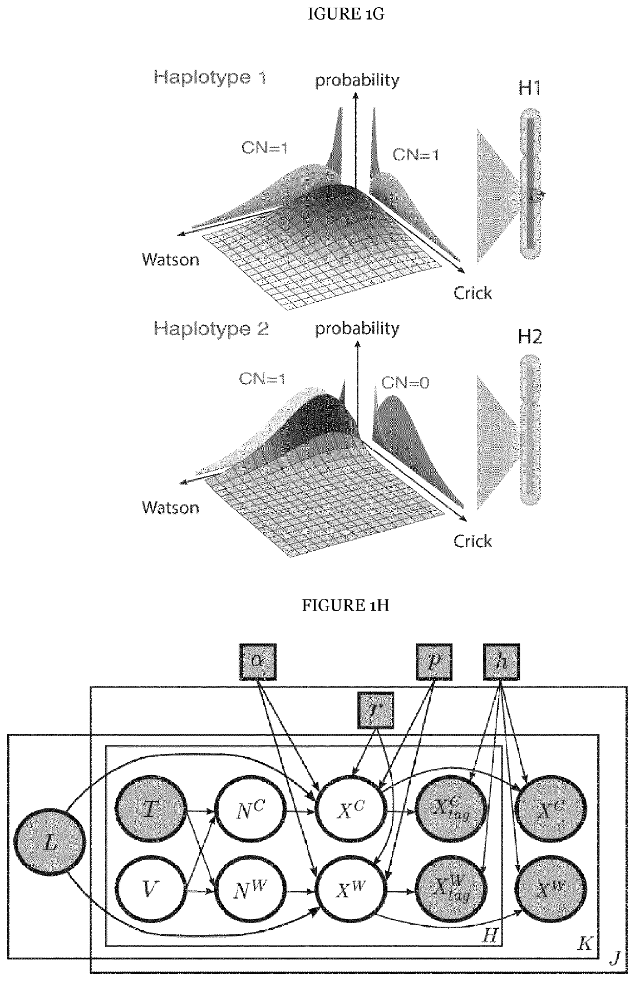 Comprehensive detection of single cell genetic structural variations