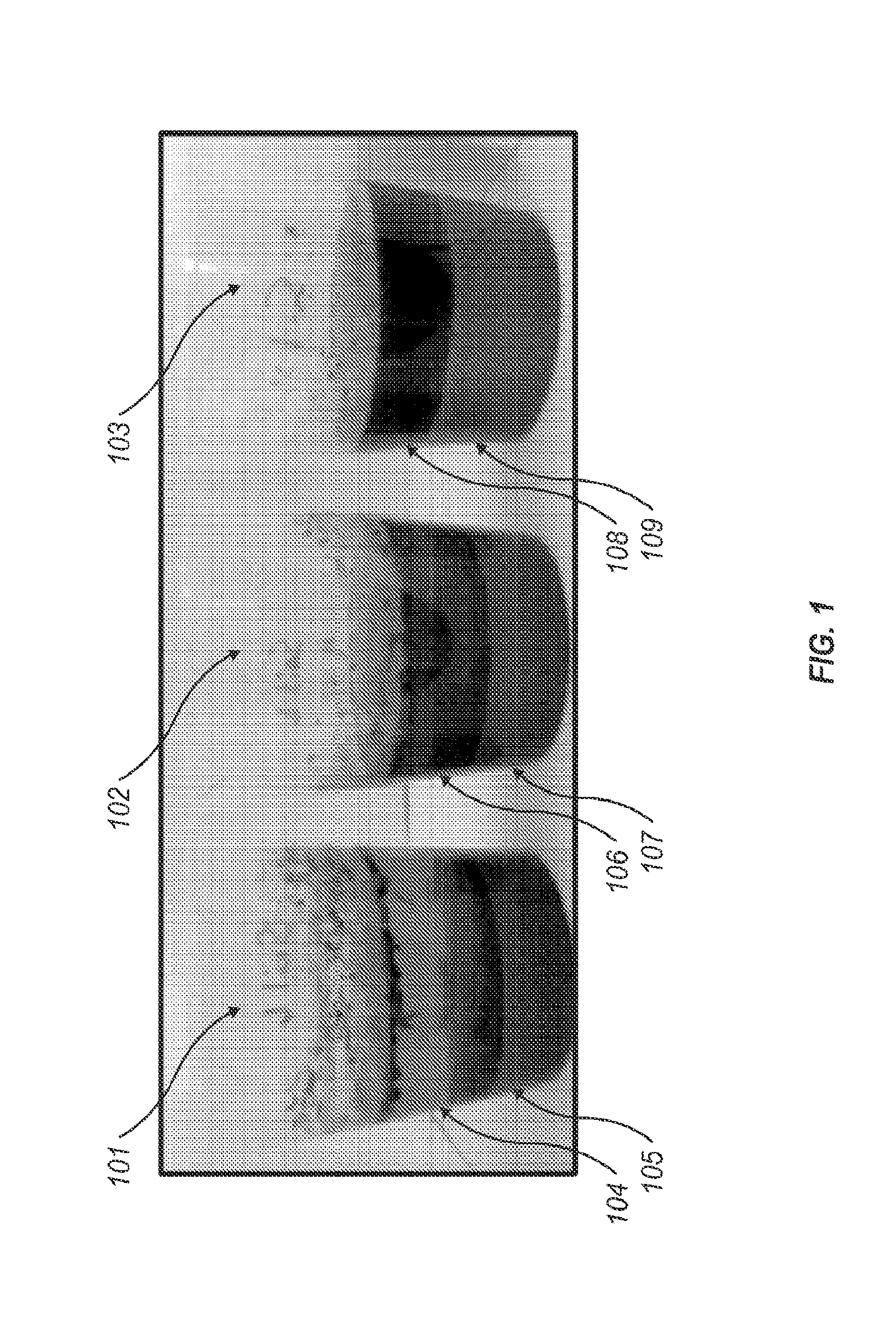 Rhizobium tropici produced biopolymer salt