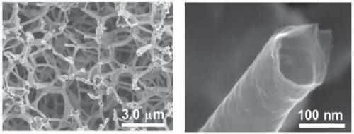 Three-dimensional graphene/black titanium dioxide composite material and preparation method and application thereof