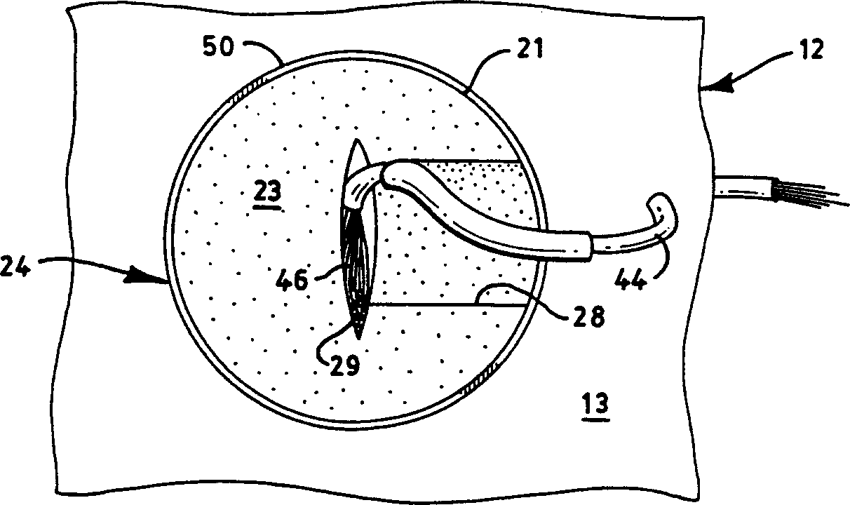 Method for determining individuals intensity of concentration