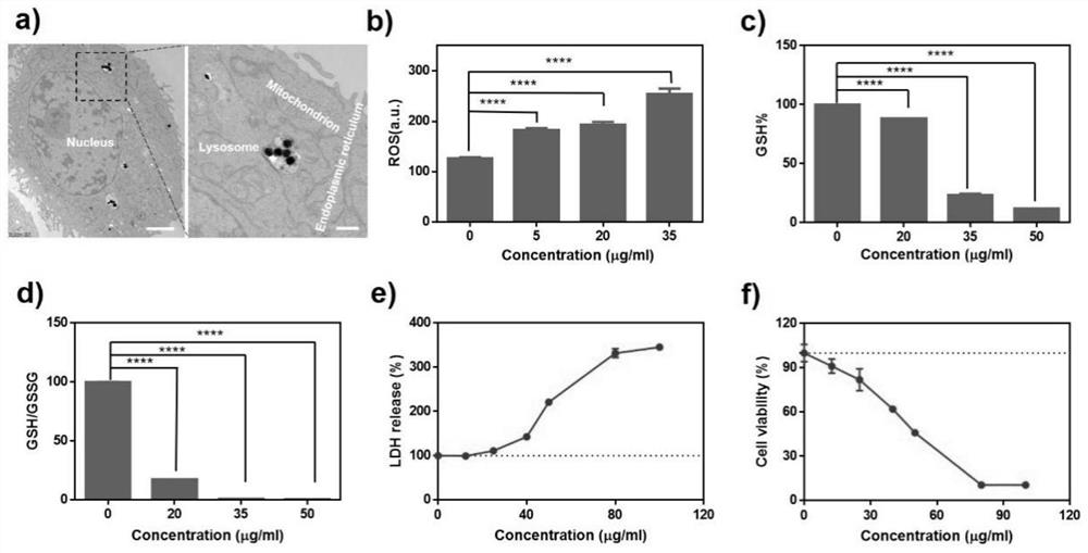 Pyrite nanozyme, antitumor drug and application