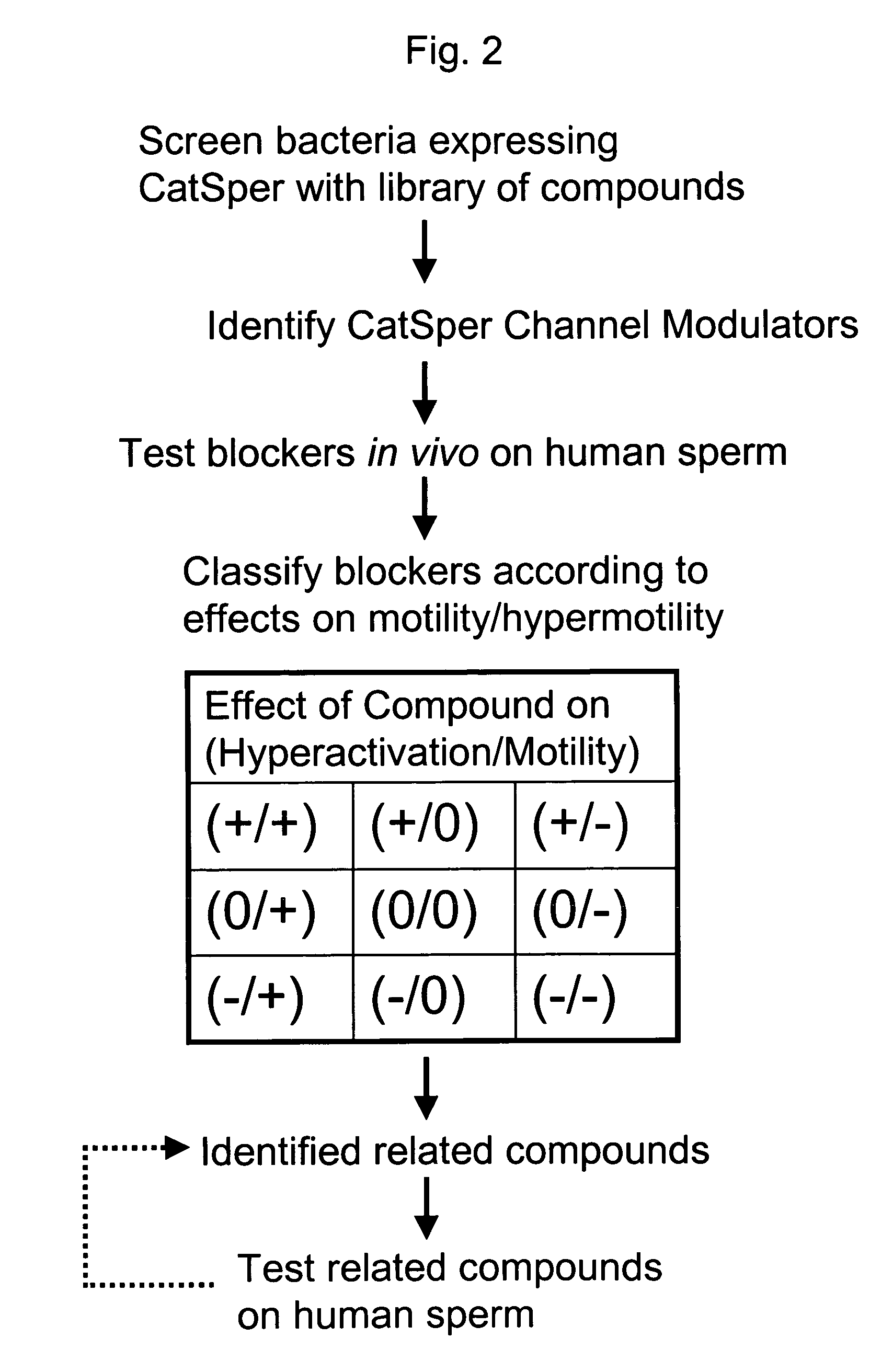 Modulators of sperm hypermotility and uses thereof