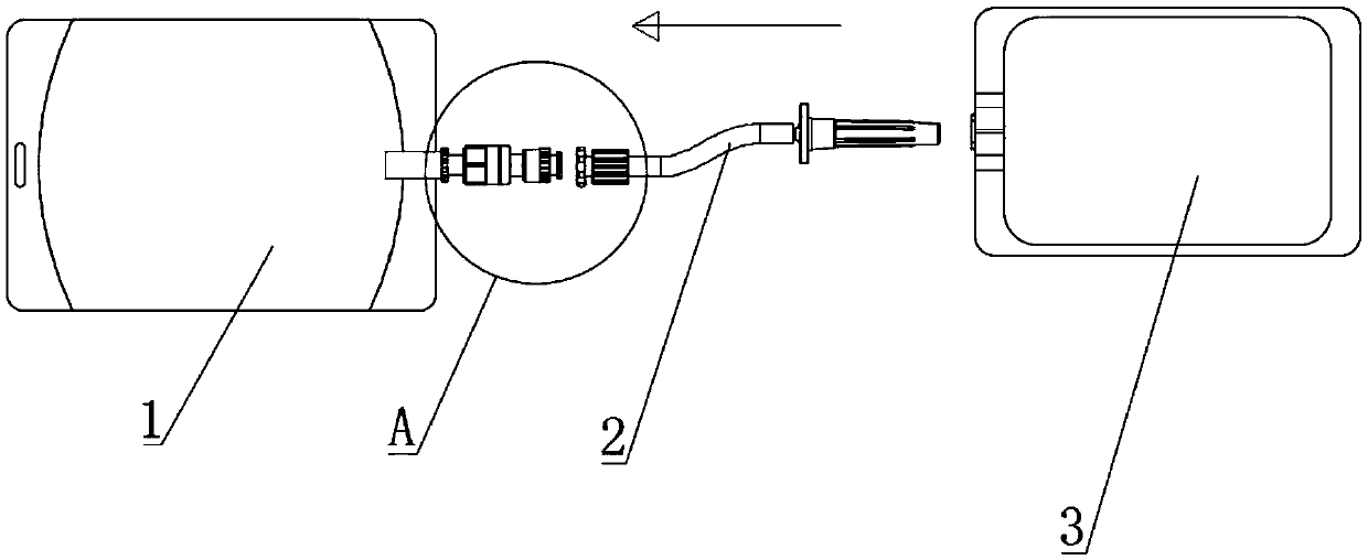 Coliform detection device and detection method thereof