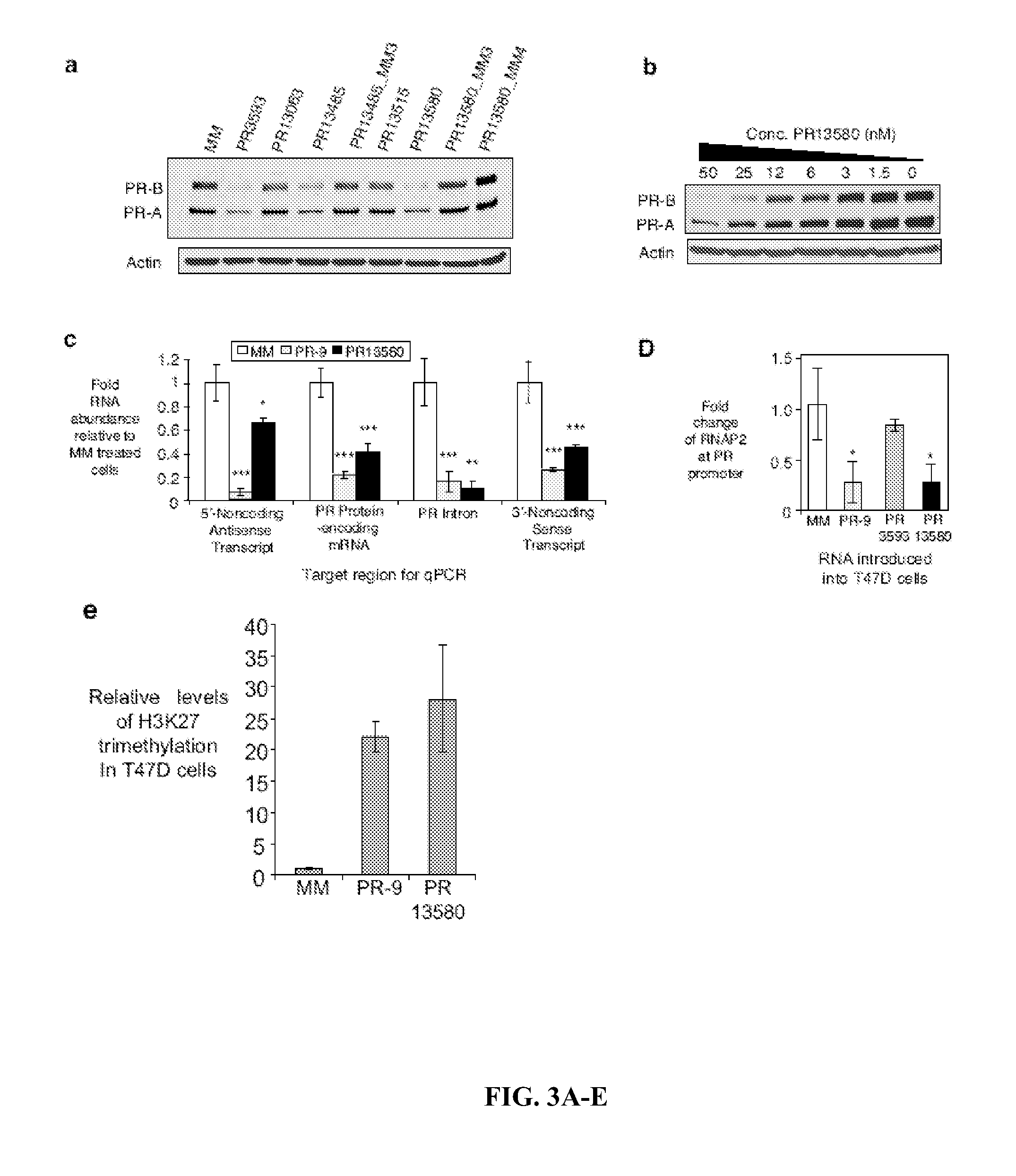 Modulation of Gene Expression Using Oligomers That Target Gene Regions Downstream of 3' Untranslated Regions