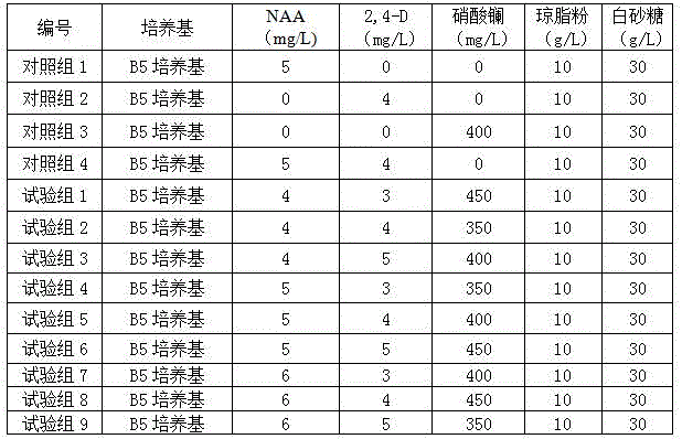 Ginseng medium for increasing content of panaxoside and preparing method thereof