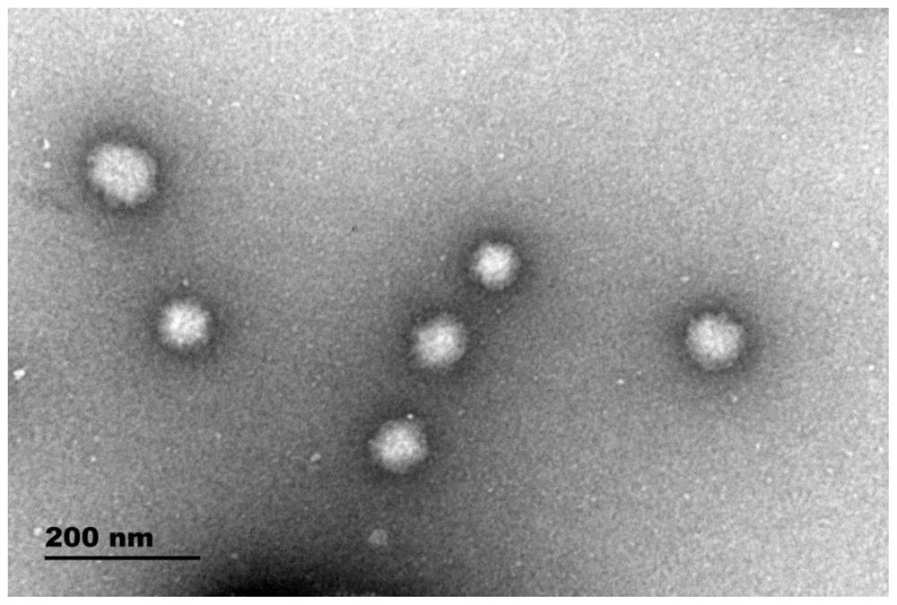 A kind of anti-reflection coating and its preparation method and application