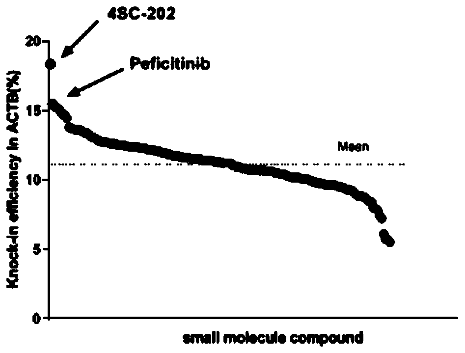 Inhibitor for improving genome site-specific integration efficiency, and application thereof