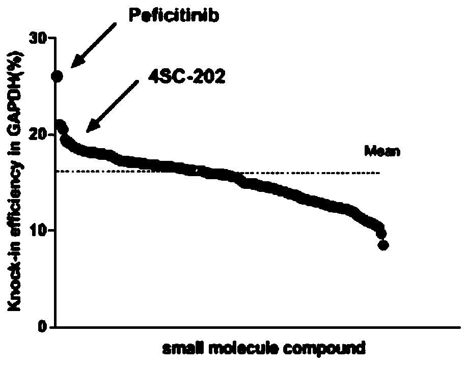 Inhibitor for improving genome site-specific integration efficiency, and application thereof