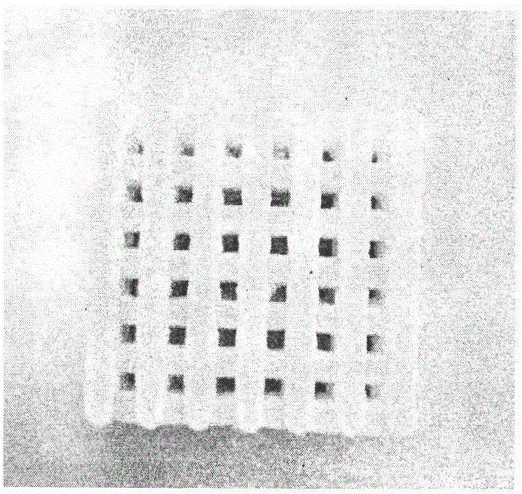 A preparation method of bionic artificial bone with multi-level [micro/nano] pore structure