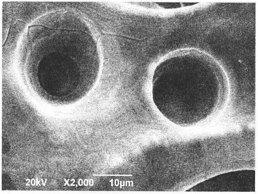 A preparation method of bionic artificial bone with multi-level [micro/nano] pore structure