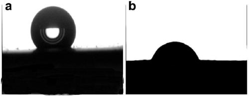 A method for plasma modification of polytetrafluoroethylene microporous membrane