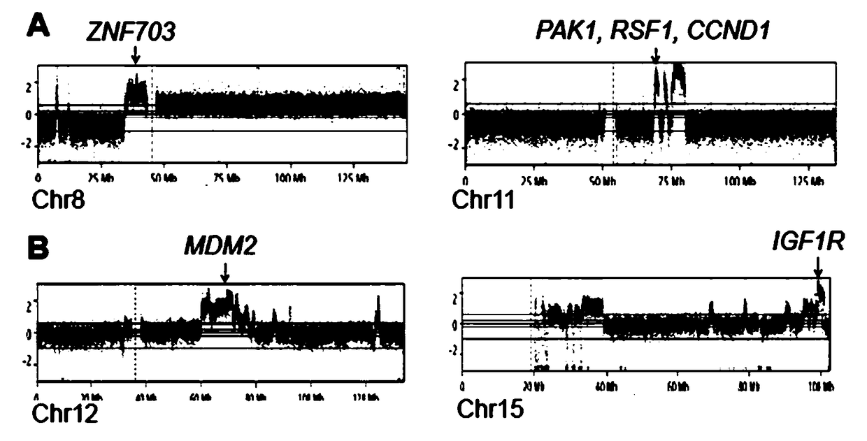 System for detecting cancer recurrence by using low-depth whole genome sequencing