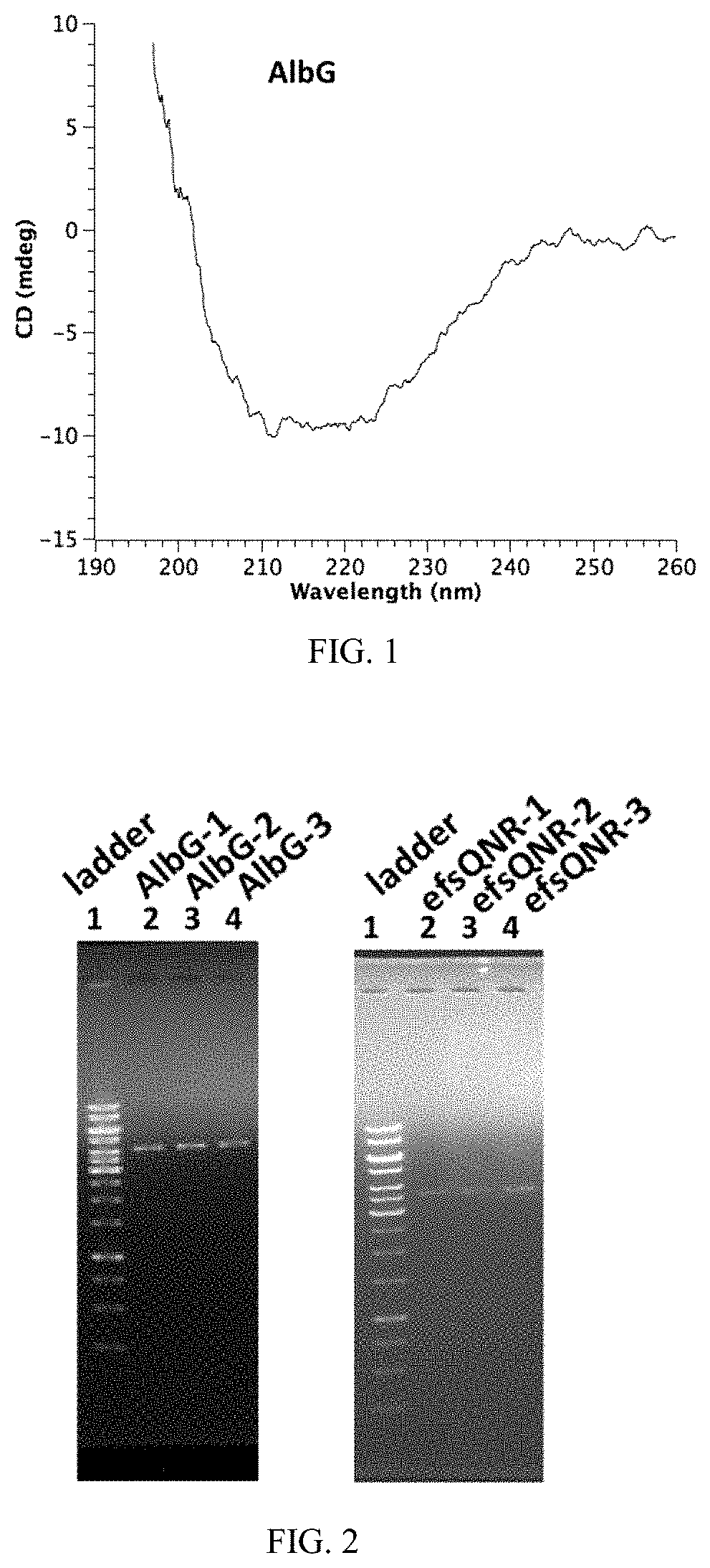 Cell membrane penetrating conjugates