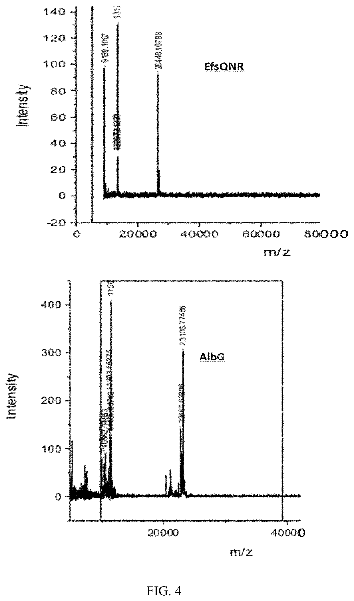 Cell membrane penetrating conjugates