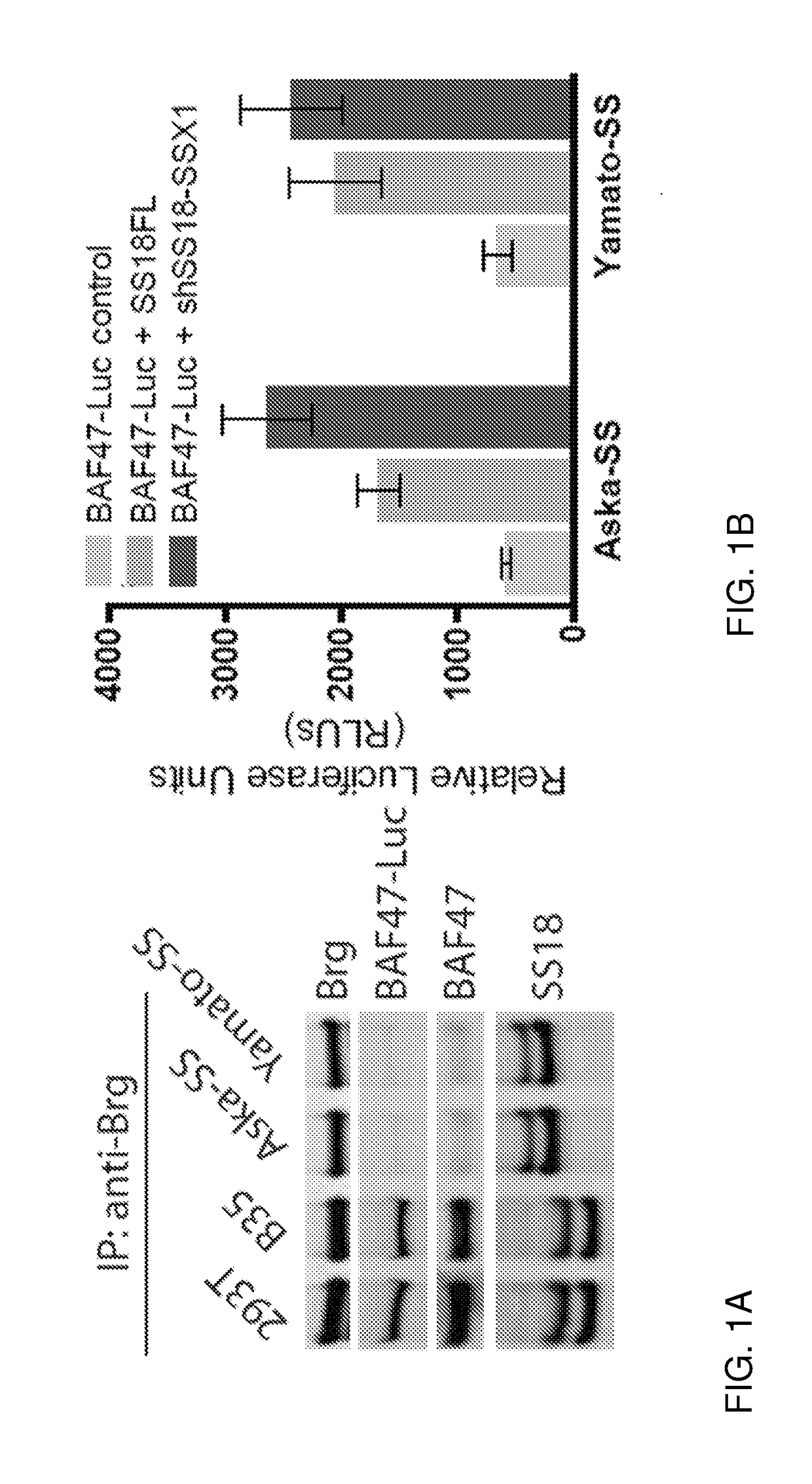 Methods for treating synovial sarcoma