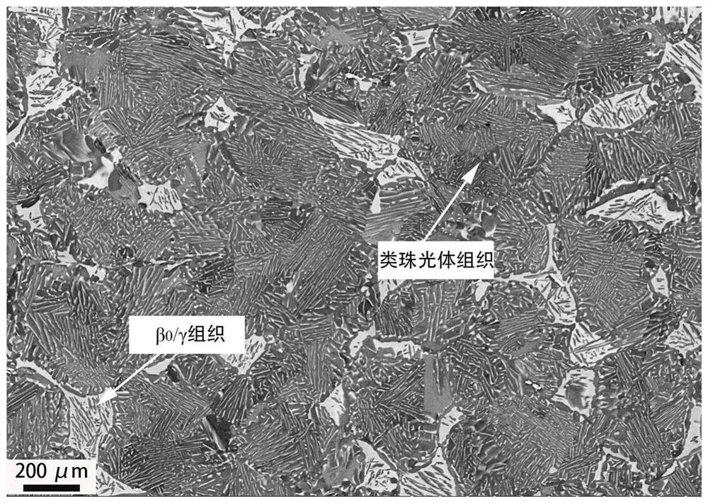 Heat Treatment Processes for Obtaining Tri-state and Bi-state Structures in Tial Alloys