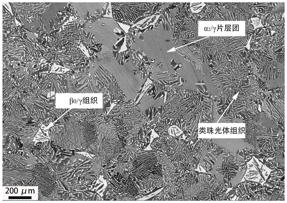 Heat Treatment Processes for Obtaining Tri-state and Bi-state Structures in Tial Alloys