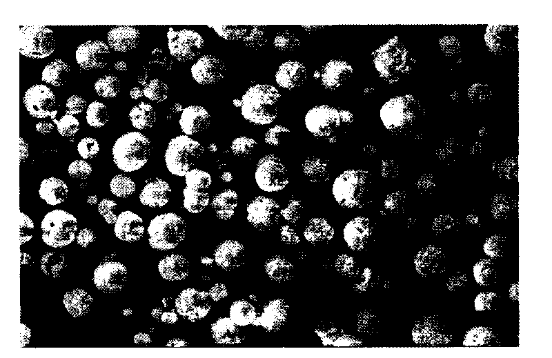 Self-assembly zinc oxide hollow sphere and preparation method thereof