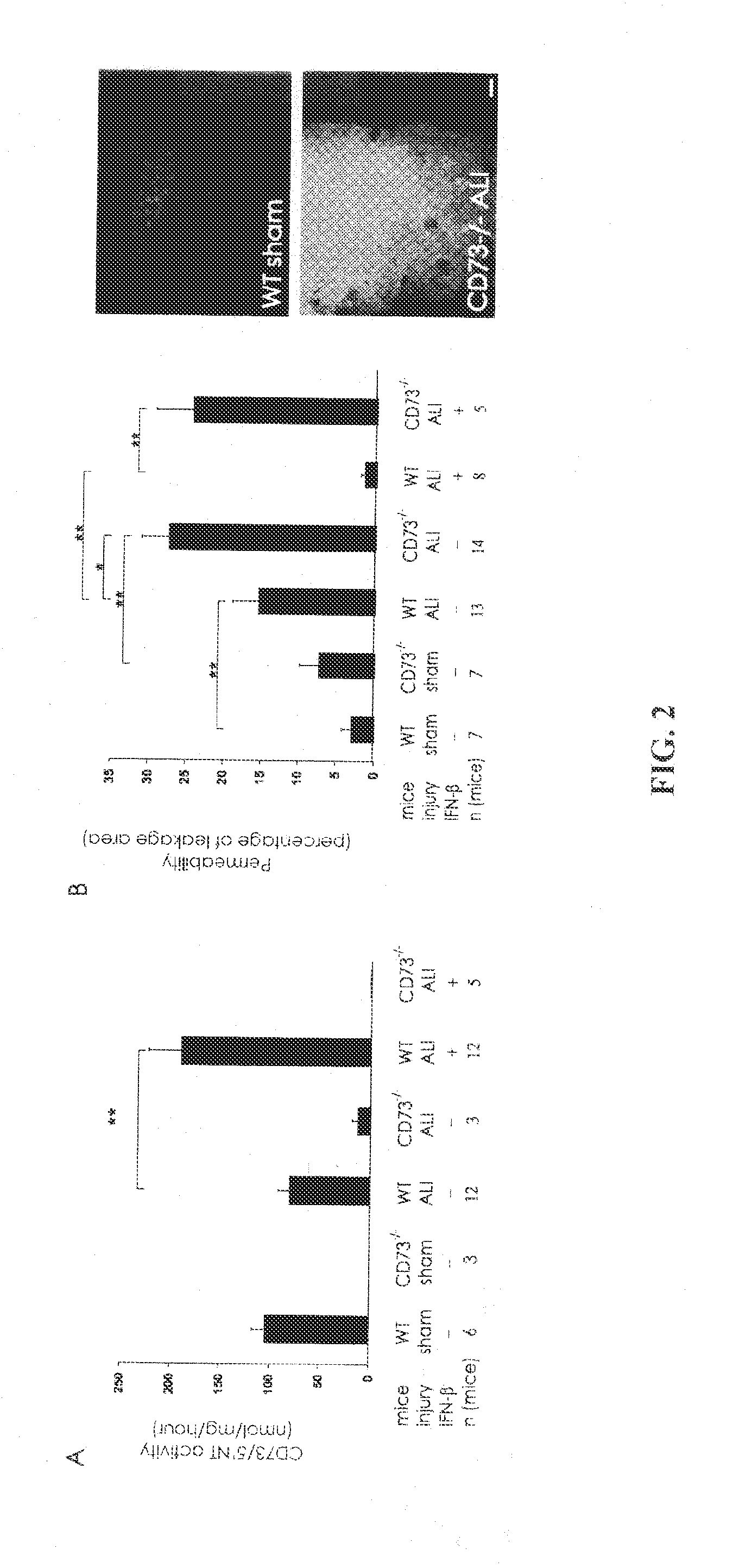 Biomarker for monitoring development of diseases and assessing the efficacy of therapies