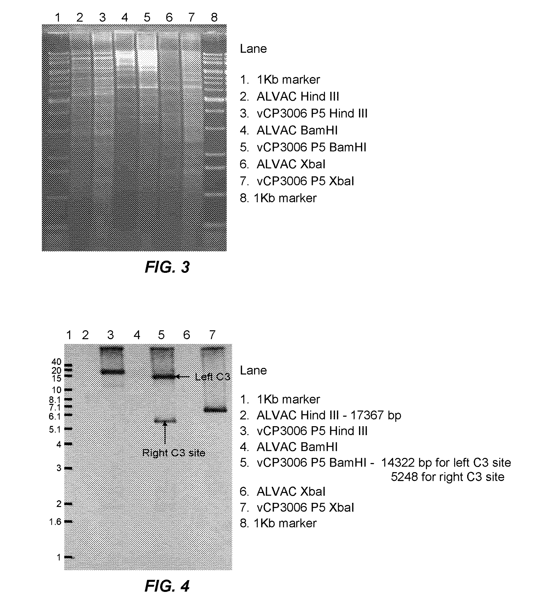 Recombinant poxviral vectors expressing both rabies and OX40 proteins, and vaccines made therefrom