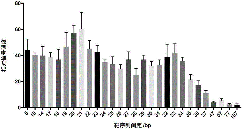 Detection method of nucleic acid