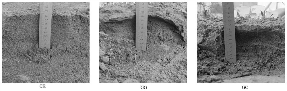 Green composite material for ecological improvement and restoration of sandy soil as well as preparation method and application of green composite material