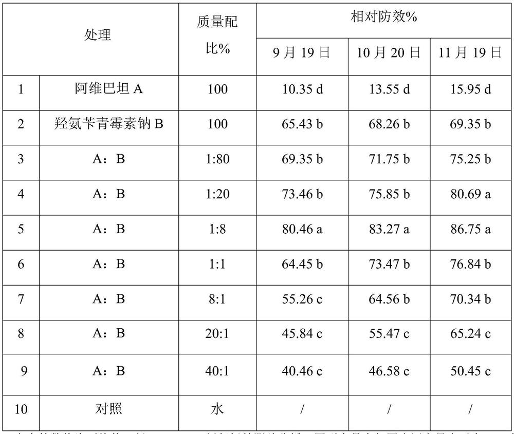 Avibactam and beta-lactam antibiotic compound synergistic composition