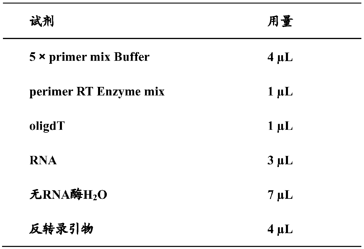 Exosome RNA molecular marker combination used for early diagnosis of colorectal cancer and application of exosome RNA molecular marker combination used for early diagnosis of colorectal cancer