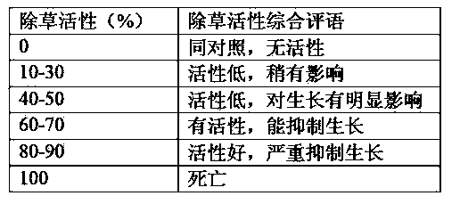 Efficient herbicide and preparation method thereof