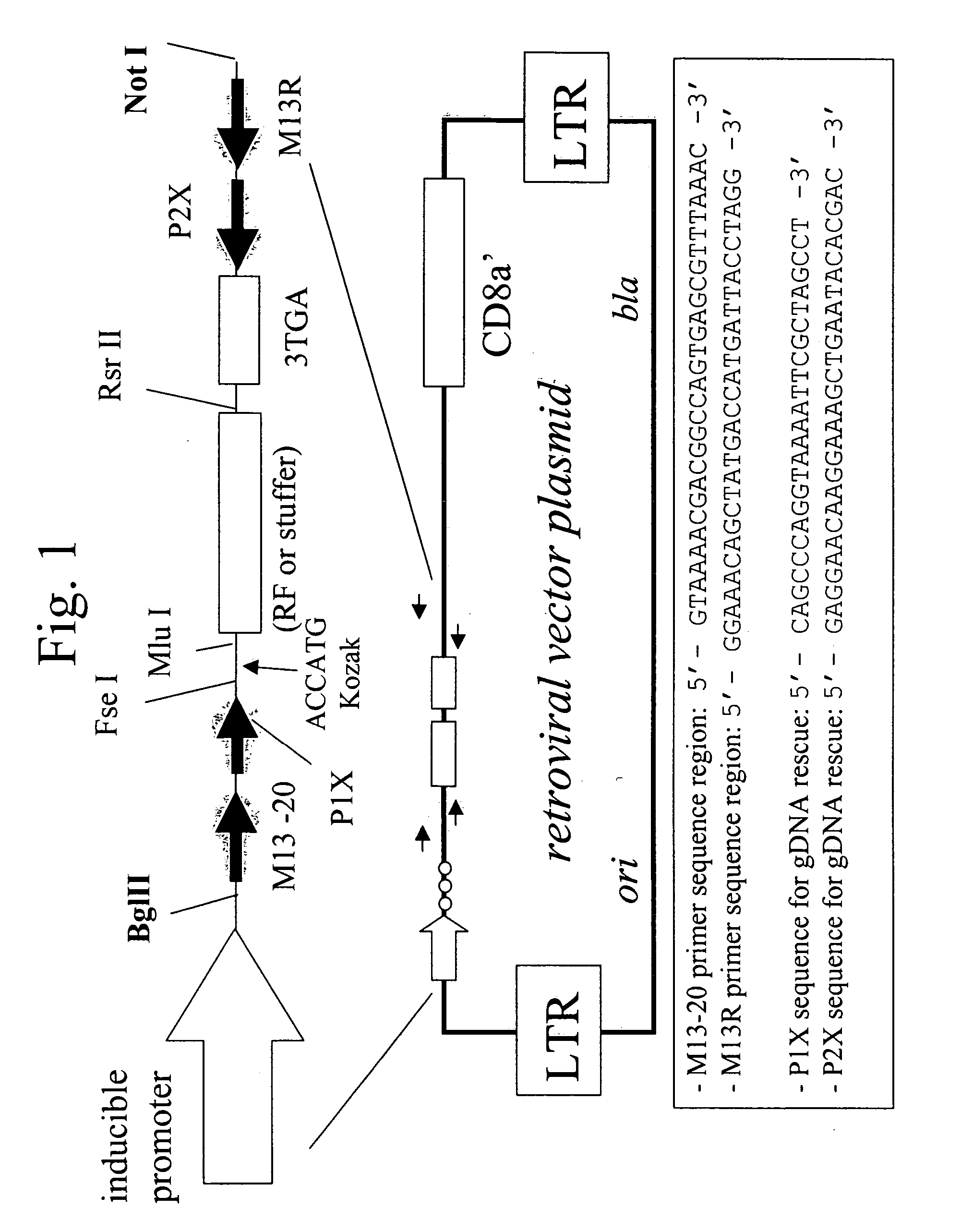 Targets for controlling cellular growth and for diagnostic methods