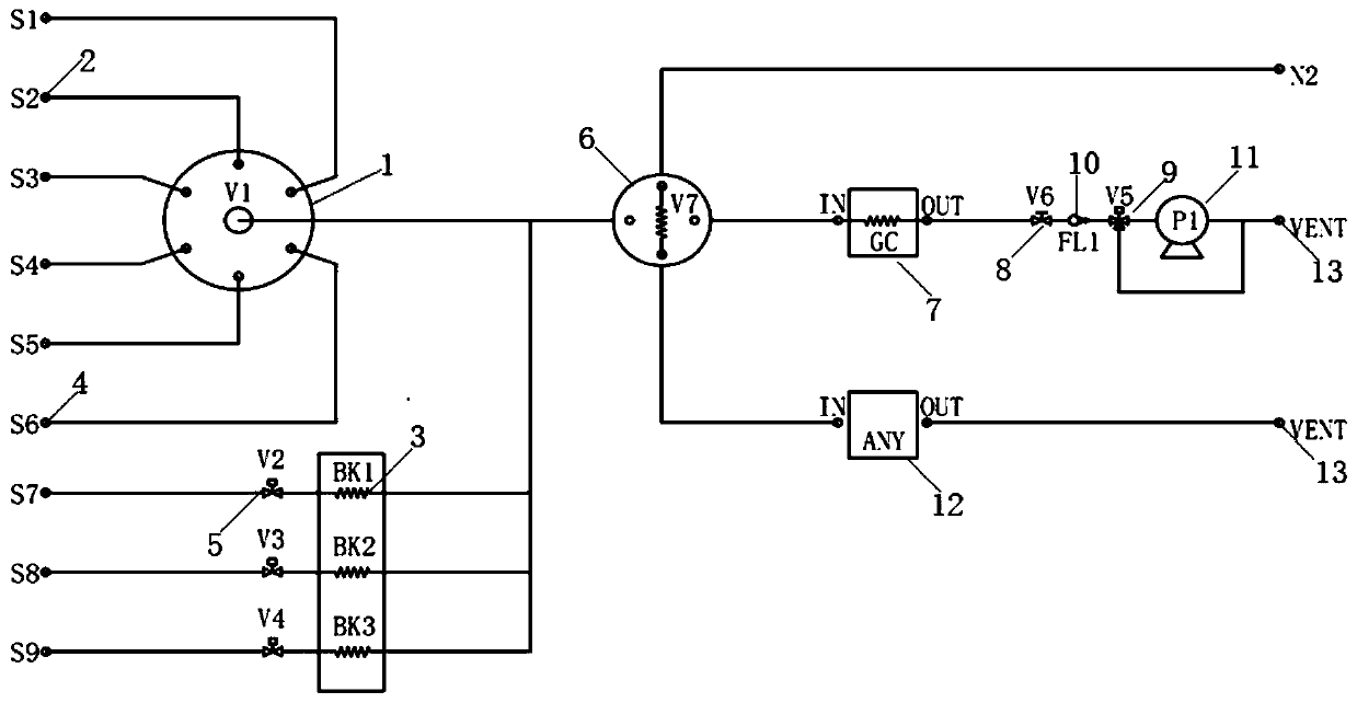 Polymorphic sample injection device