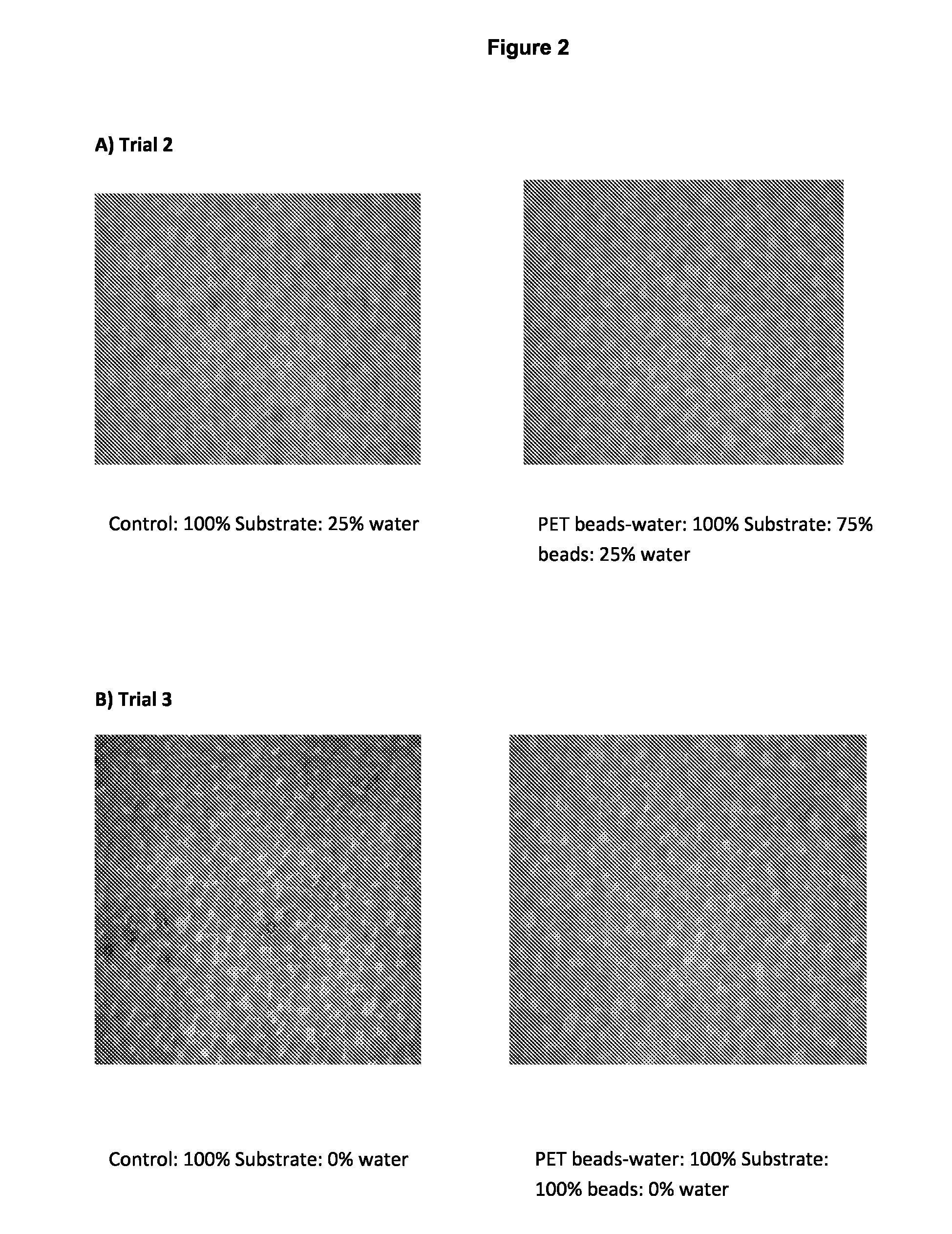 Method for treating a substrate made of animal fibers with solid particles and a chemical formulation