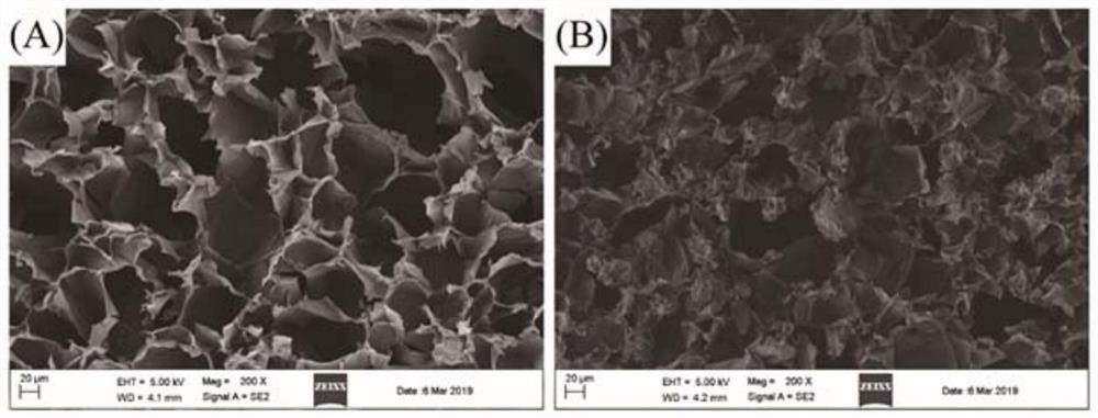 Antibacterial active dressing and preparation method thereof