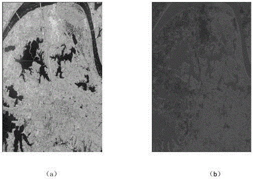 SAR image automatic classification system and method