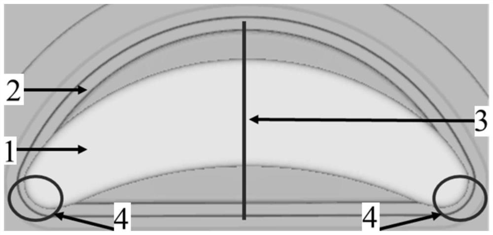 Precise hot forming method for metal forge piece with nearly-semi-oval thin web and large rib spacing