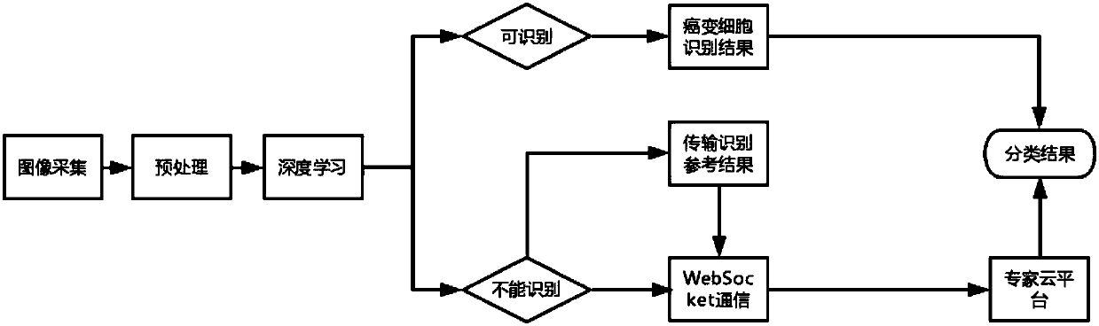 Intelligent canceration cell identification system and method, cloud platform, server and computer