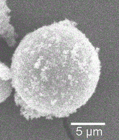 Preparation method of surface-mineralized chitosan microsphere