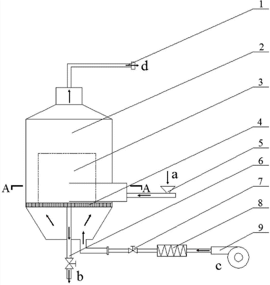 Screw type fluidized bed dryer