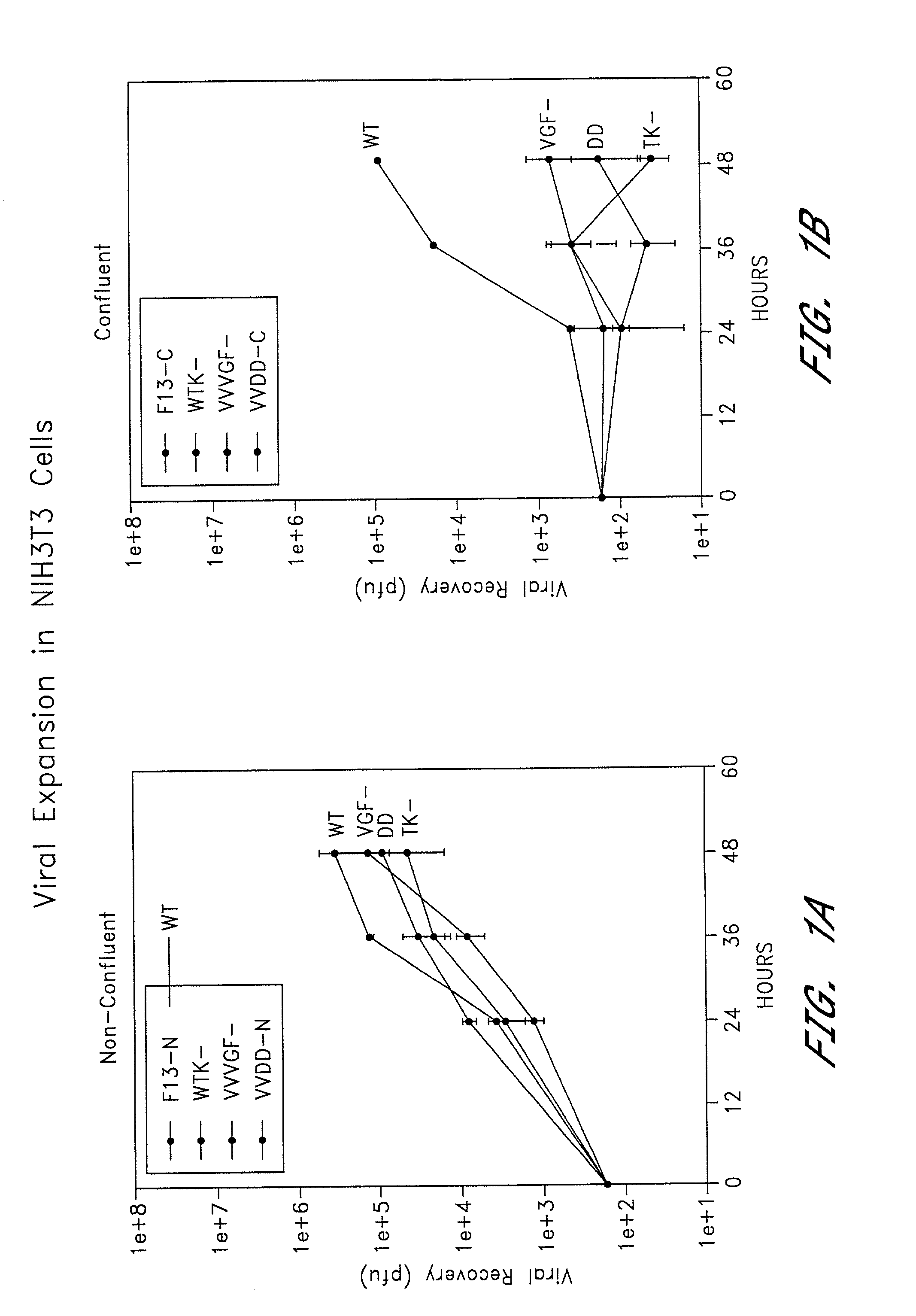 Combined growth factor-deleted and thymidine kinase-deleted vaccinia virus vector