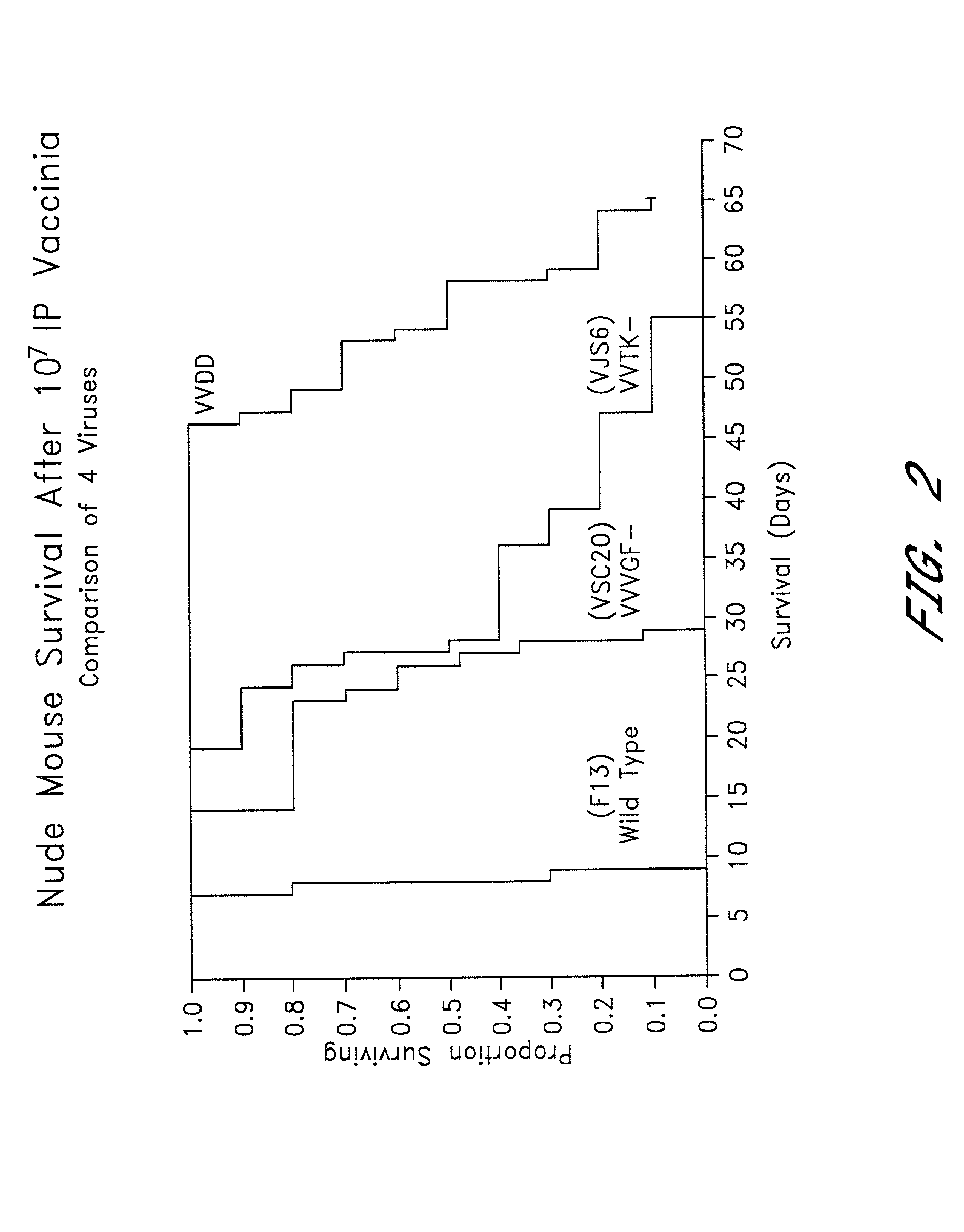 Combined growth factor-deleted and thymidine kinase-deleted vaccinia virus vector