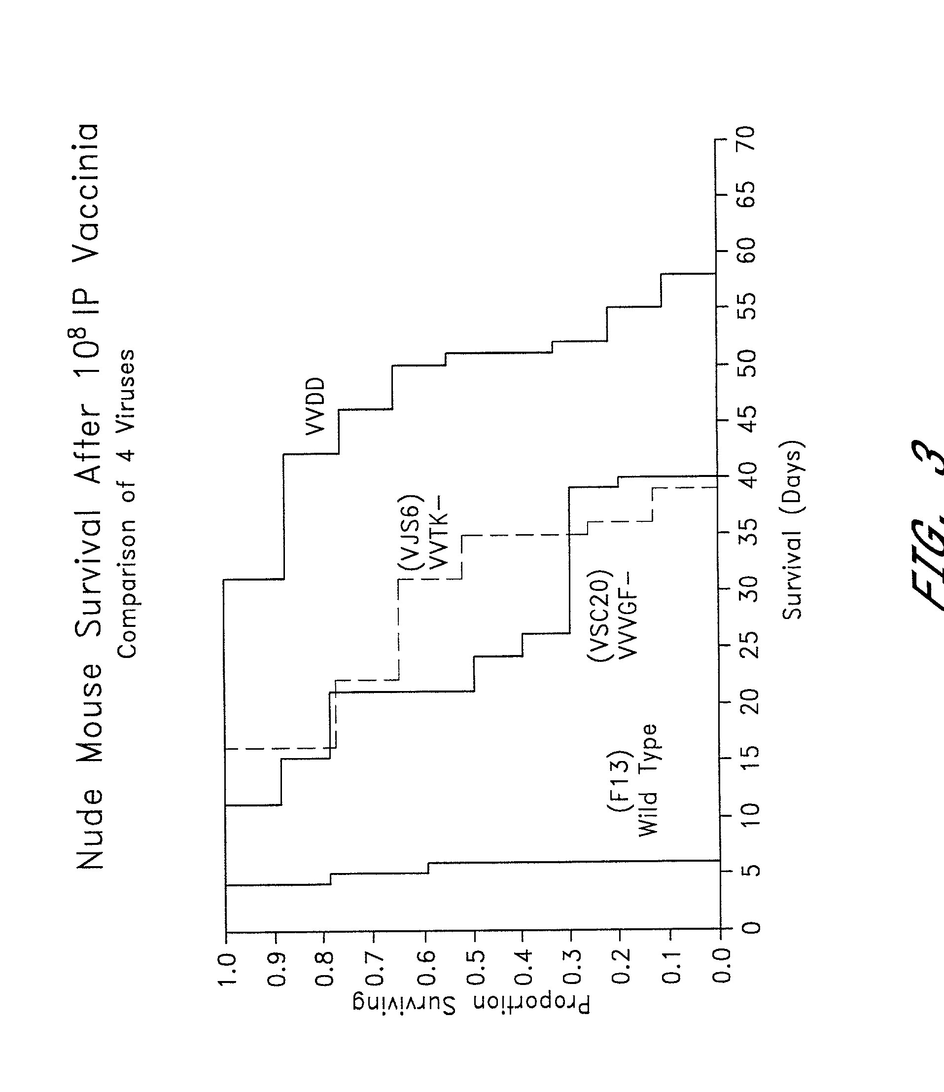 Combined growth factor-deleted and thymidine kinase-deleted vaccinia virus vector