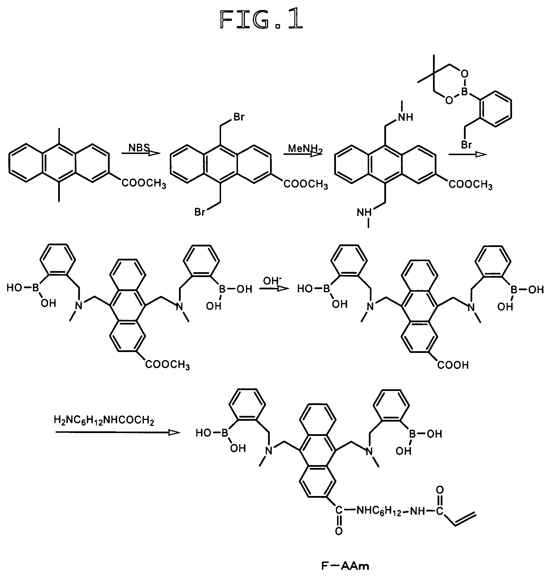 Saccharide-measuring fluorescent monomer, saccharide-measuring fluorescent sensor substance, and implantable, saccharide-measuring sensor