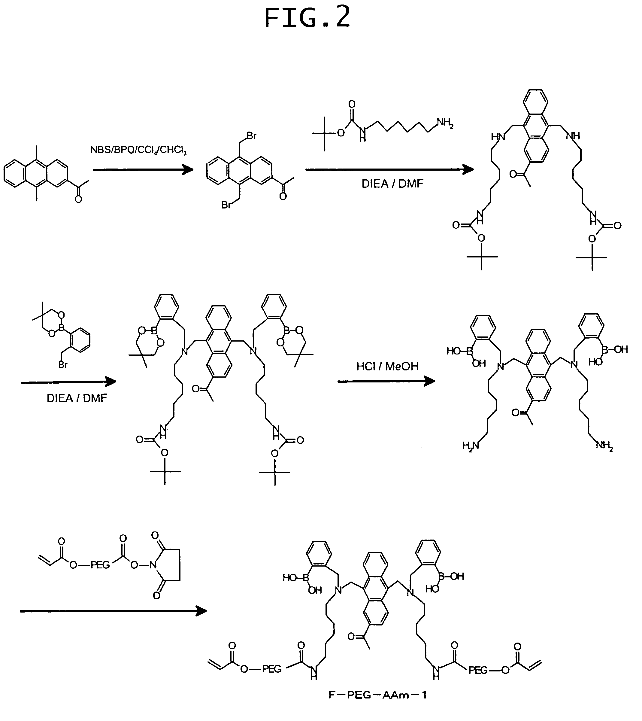 Saccharide-measuring fluorescent monomer, saccharide-measuring fluorescent sensor substance, and implantable, saccharide-measuring sensor