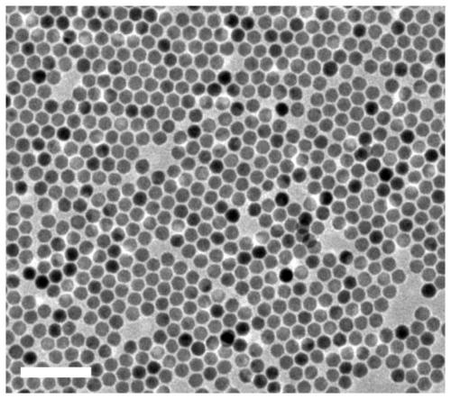 A photodynamic therapy system and method for continuously generating singlet oxygen