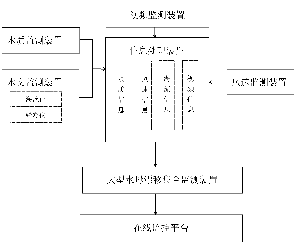 System and method for online monitoring large-scale disaster jellyfishes