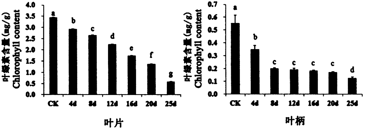 Method for processing Liyang oenanthe javanica whitening through light control