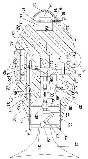 Fish-like camouflage monitoring equipment