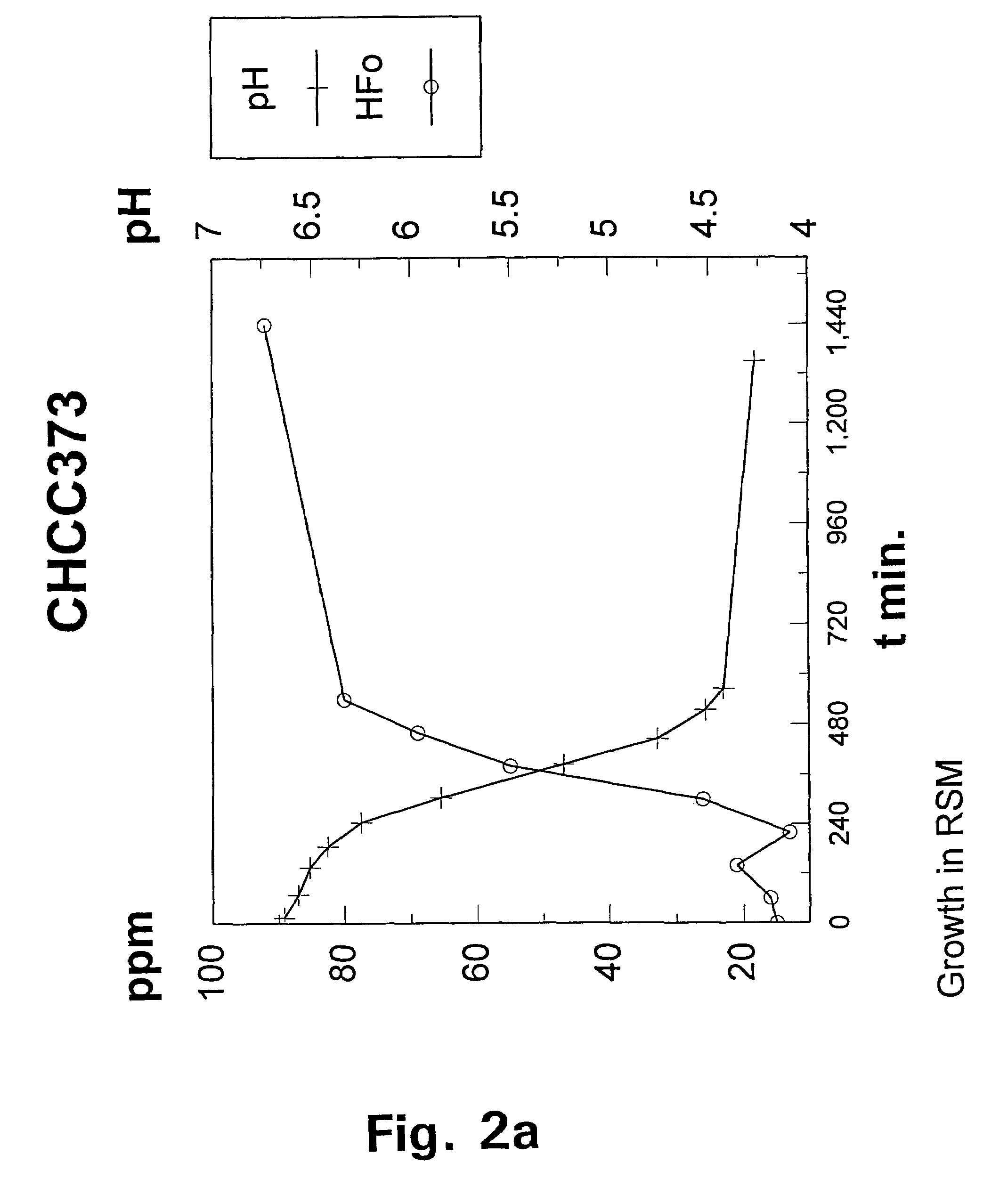 Metabolically engineered lactic acid bacteria and their use