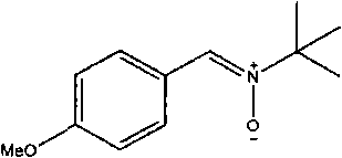 Novel nitrone ligand, organic metal iridium catalyst and preparation method and application thereof