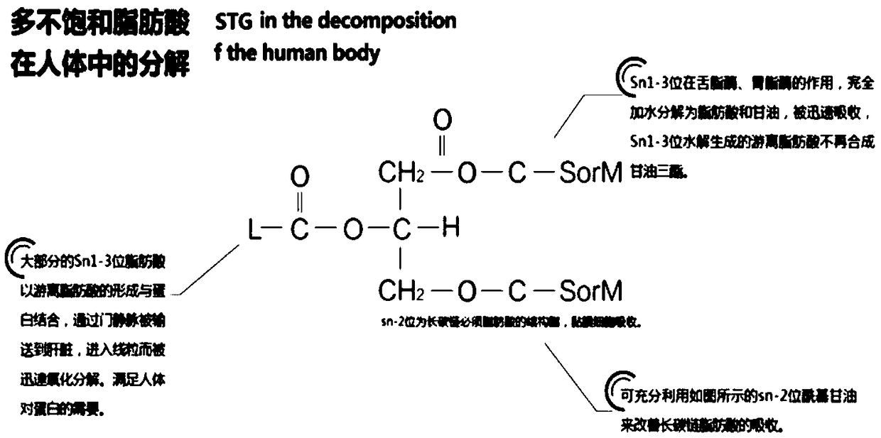 Preparation method of lipid with structure of polyunsaturated fatty acids